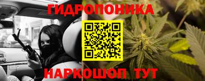 стафф Будённовск