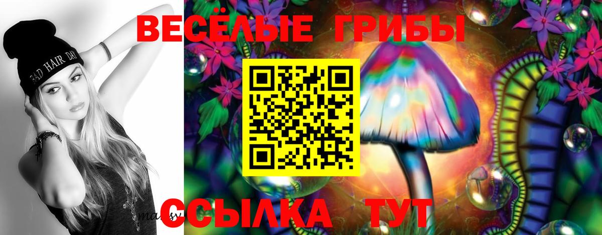 Псилоцибиновые грибы MAGIC MUSHROOMS  Вход с VPN  что такое   Киреевск 